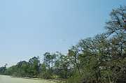New Orleans 04-08-06 098